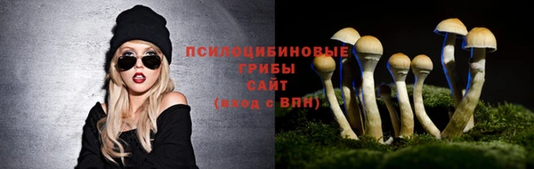 гидропоника Куйбышев