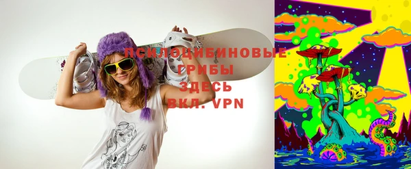 дмт Кукмор