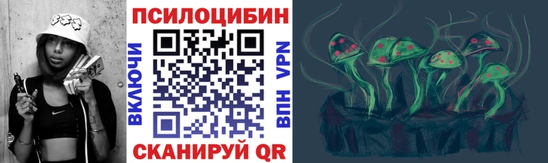 Купить закладки  Заводоуковск  Галлюциногенные грибы Magic Shrooms 